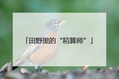 田野里的“精算师”