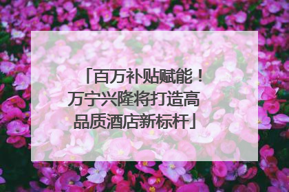 百万补贴赋能！万宁兴隆将打造高品质酒店新标杆