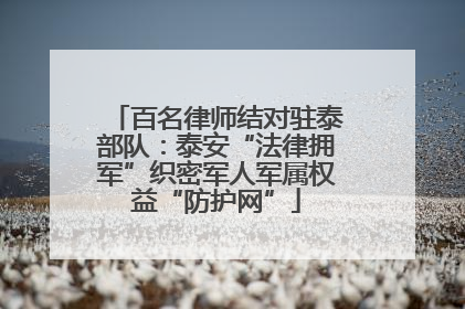 百名律师结对驻泰部队：泰安“法律拥军”织密军人军属权益“防护网”