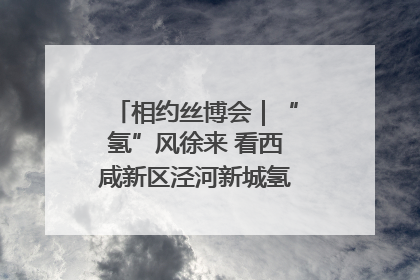 相约丝博会｜“氢”风徐来 看西咸新区泾河新城氢能产业聚链成势