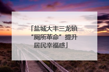 盐城大丰三龙镇“厕所革命”提升居民幸福感