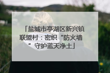 盐城市亭湖区新兴镇联盟村：密织“防火墙”守护蓝天净土