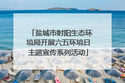 盐城市射阳生态环境局开展六五环境日主题宣传系列活动