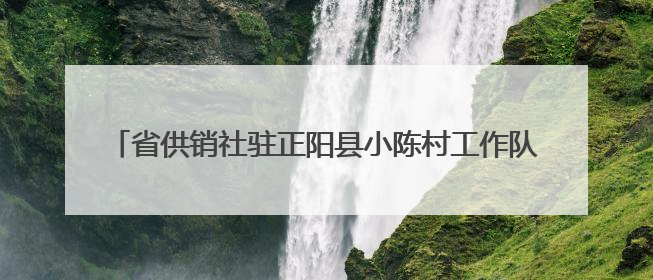 省供销社驻正阳县小陈村工作队 助力“三夏”护航丰收之路