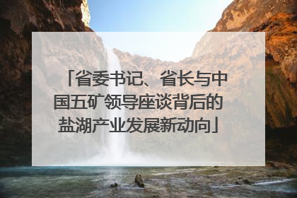 省委书记、省长与中国五矿领导座谈背后的盐湖产业发展新动向
