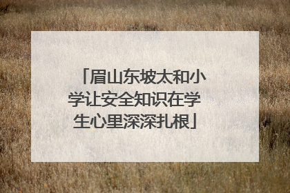 眉山东坡太和小学让安全知识在学生心里深深扎根