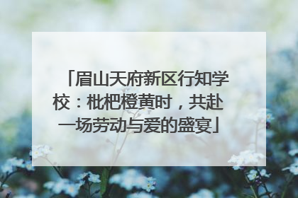 眉山天府新区行知学校：枇杷橙黄时，共赴一场劳动与爱的盛宴