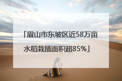眉山市东坡区近58万亩水稻栽插面积超85%