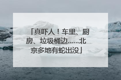 真吓人！车里、厨房、垃圾桶边……北京多地有蛇出没