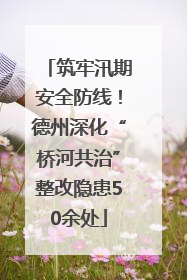 筑牢汛期安全防线！德州深化“桥河共治”整改隐患50余处