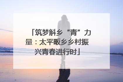 筑梦斛乡“青”力量：太平畈乡乡村振兴青春进行时
