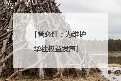 管必红：为维护华社权益发声