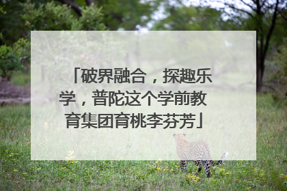 破界融合，探趣乐学，普陀这个学前教育集团育桃李芬芳