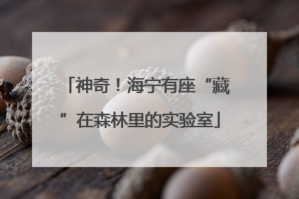 神奇！海宁有座“藏”在森林里的实验室