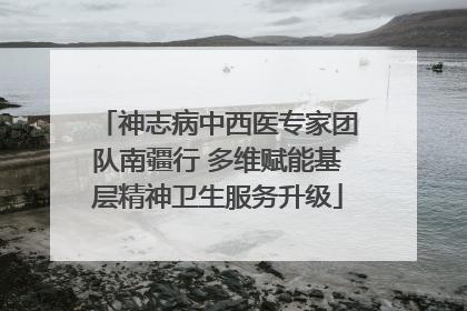 神志病中西医专家团队南疆行 多维赋能基层精神卫生服务升级