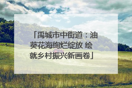 禹城市中街道：油葵花海绚烂绽放 绘就乡村振兴新画卷