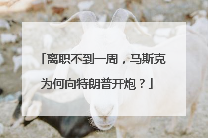 离职不到一周，马斯克为何向特朗普开炮？