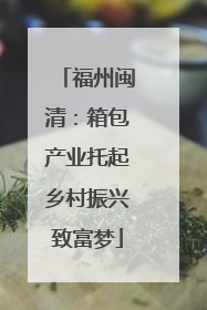 福州闽清：箱包产业托起乡村振兴致富梦