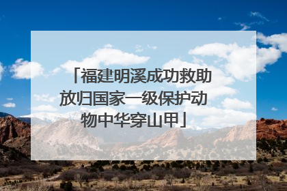 福建明溪成功救助放归国家一级保护动物中华穿山甲