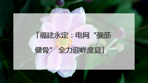 福建永定：电网“强筋健骨” 全力迎峰度夏