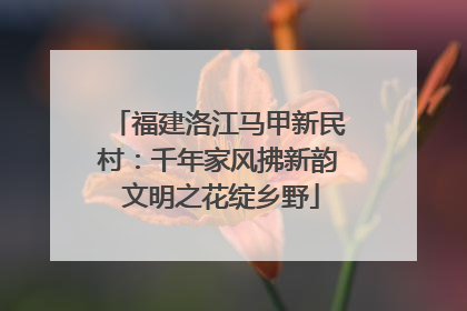 福建洛江马甲新民村：千年家风拂新韵 文明之花绽乡野