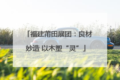 福建莆田展团：良材妙造 以木塑“灵”