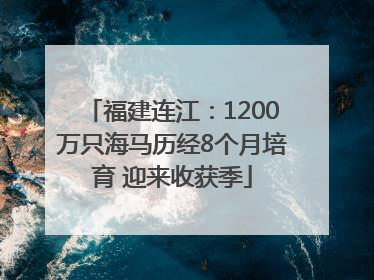 福建连江：1200万只海马历经8个月培育 迎来收获季