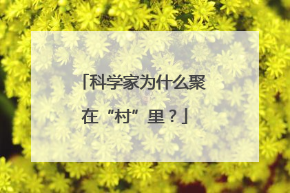 科学家为什么聚在“村”里？