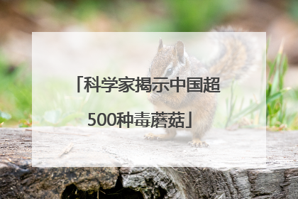 科学家揭示中国超500种毒蘑菇