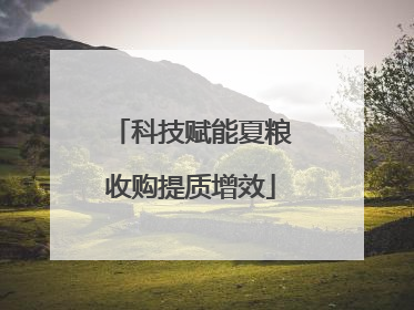 科技赋能夏粮收购提质增效