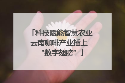 科技赋能智慧农业 云南咖啡产业插上“数字翅膀”
