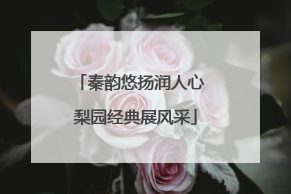 秦韵悠扬润人心 梨园经典展风采