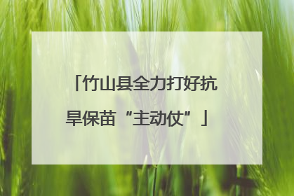 竹山县全力打好抗旱保苗“主动仗”