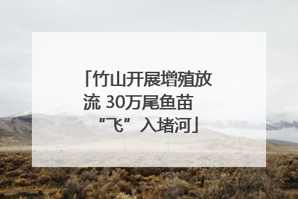 竹山开展增殖放流 30万尾鱼苗“飞”入堵河