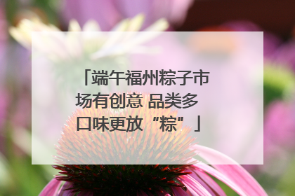 端午福州粽子市场有创意 品类多口味更放“粽”