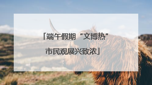 端午假期“文博热” 市民观展兴致浓
