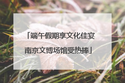 端午假期享文化佳宴 南京文博场馆受热捧
