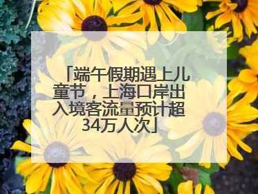 端午假期遇上儿童节，上海口岸出入境客流量预计超34万人次
