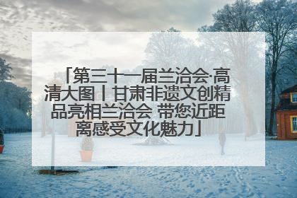 第三十一届兰洽会·高清大图丨甘肃非遗文创精品亮相兰洽会 带您近距离感受文化魅力