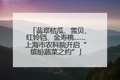 翡翠桔瓜、雪贝、红铃铛、金寿桃……上海市农科院开启“缤纷蔬菜之约”