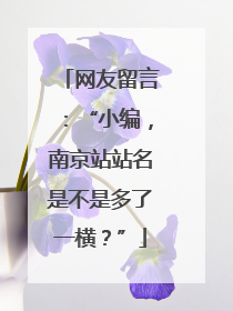 网友留言：“小编，南京站站名是不是多了一横？”