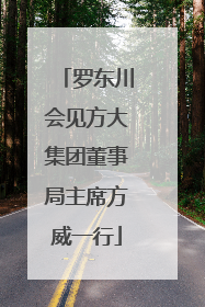 罗东川会见方大集团董事局主席方威一行