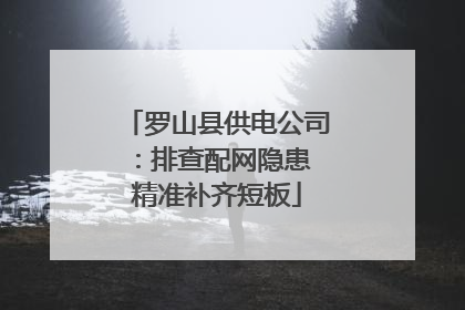 罗山县供电公司：排查配网隐患 精准补齐短板
