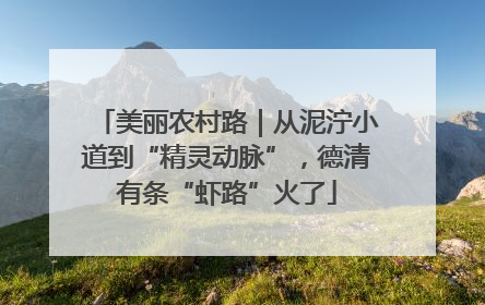 美丽农村路｜从泥泞小道到“精灵动脉”，德清有条“虾路”火了