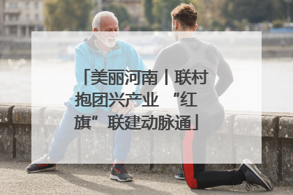 美丽河南丨联村抱团兴产业 “红旗”联建动脉通