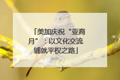 美加庆祝“亚裔月”：以文化交流铺就平权之路