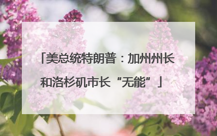 美总统特朗普：加州州长和洛杉矶市长“无能”