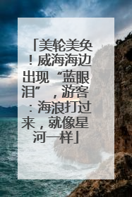 美轮美奂！威海海边出现“蓝眼泪”，游客：海浪打过来，就像星河一样