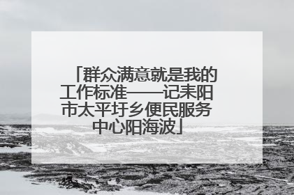 群众满意就是我的工作标准——记耒阳市太平圩乡便民服务中心阳海波