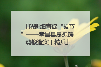 精耕细育促“拔节”——孝昌县思想铸魂锻造实干精兵